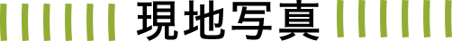 現地写真