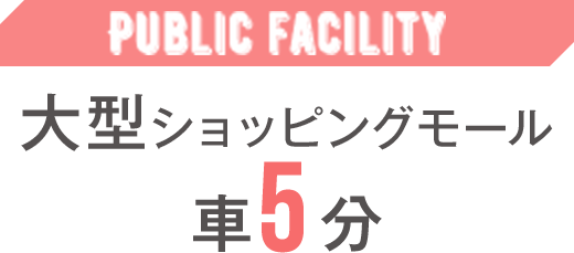 大型ショッピングモール　車5分